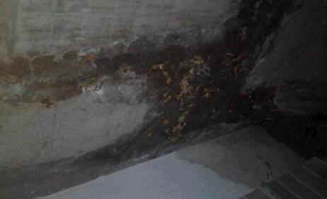 墙面渗水有什么办法修复？屋顶防水施工的时候这些要留意