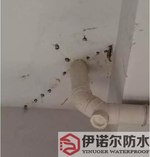 张家港苏州防水工程的基本内容是什么？