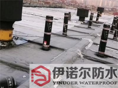 昆山规模大的防水补漏哪家好金质服务